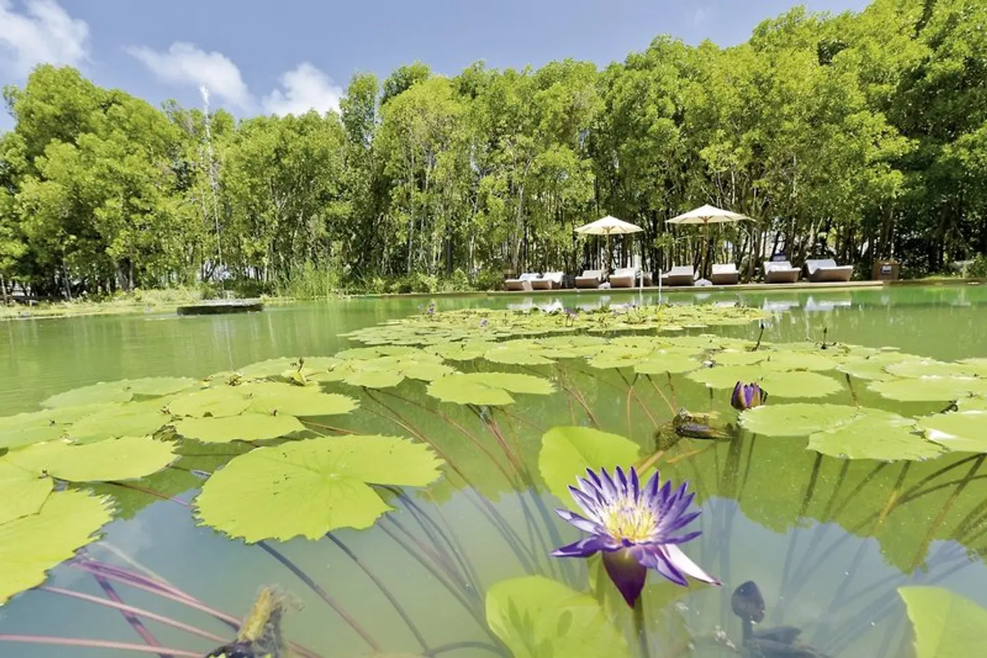 Dreamland The Unique Sea & Lake Resort & Spa LANDSCAPE