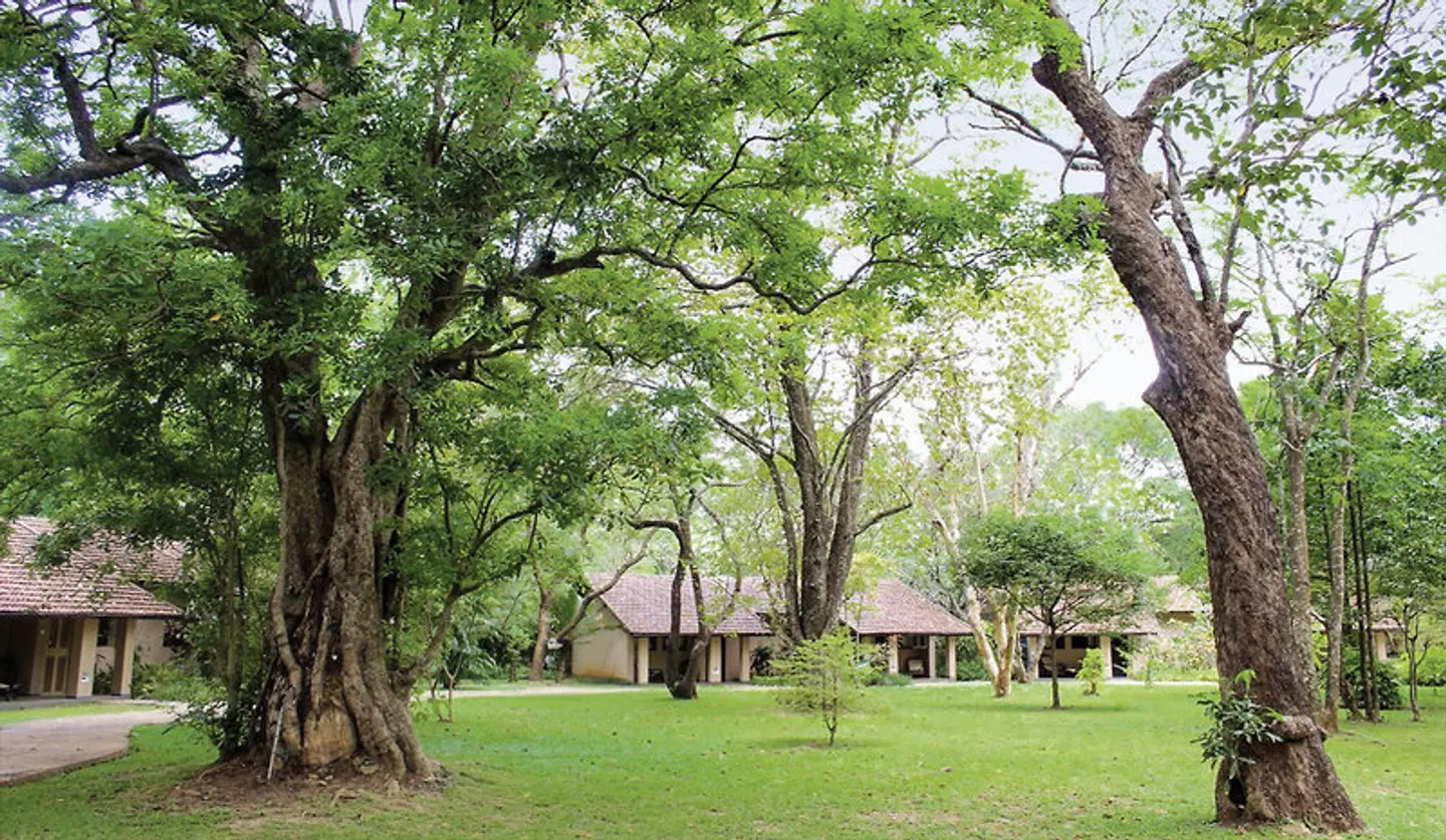 Sigiriya Village Garten