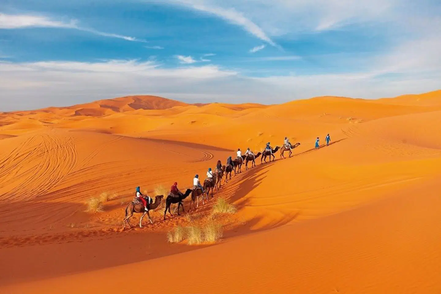 Marokkos Schätze - Küstenkultur, Marrakesch und die unendliche Weite der Wüste LANDSCAPE