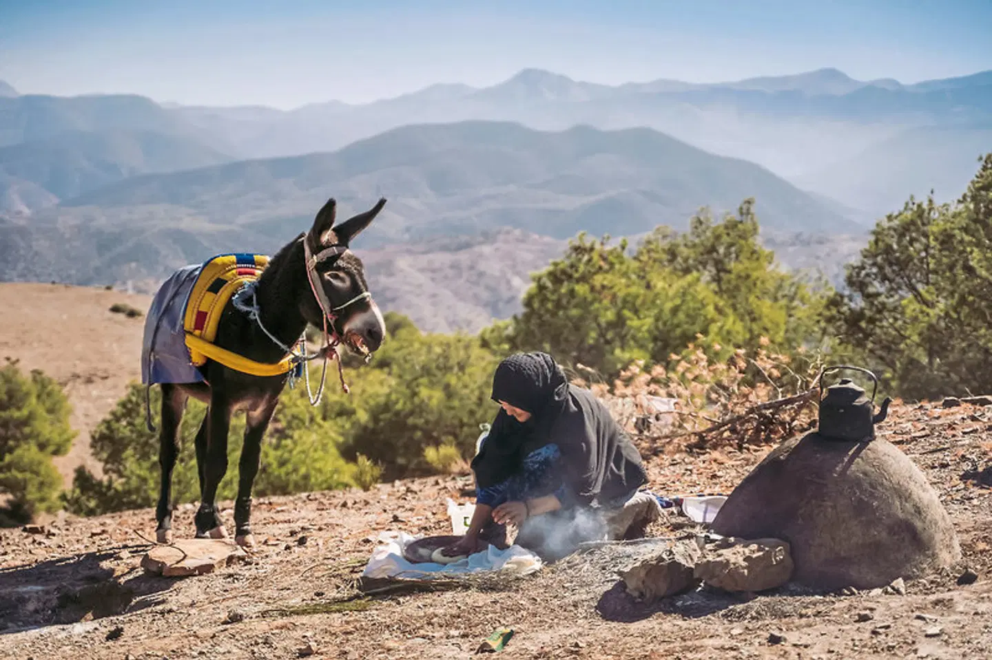 Inara Camp Tiere
