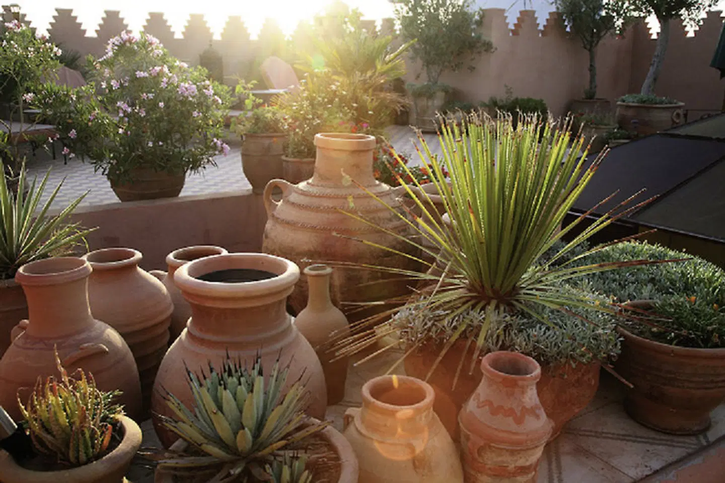 Riad Ifoulki HEALTH_BEAUTY