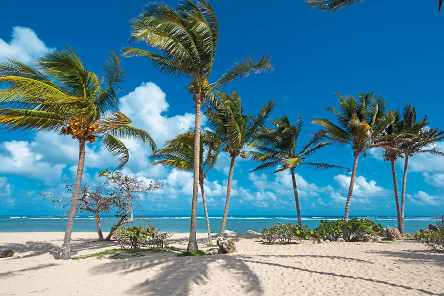 Hotel Jibacoa Strand