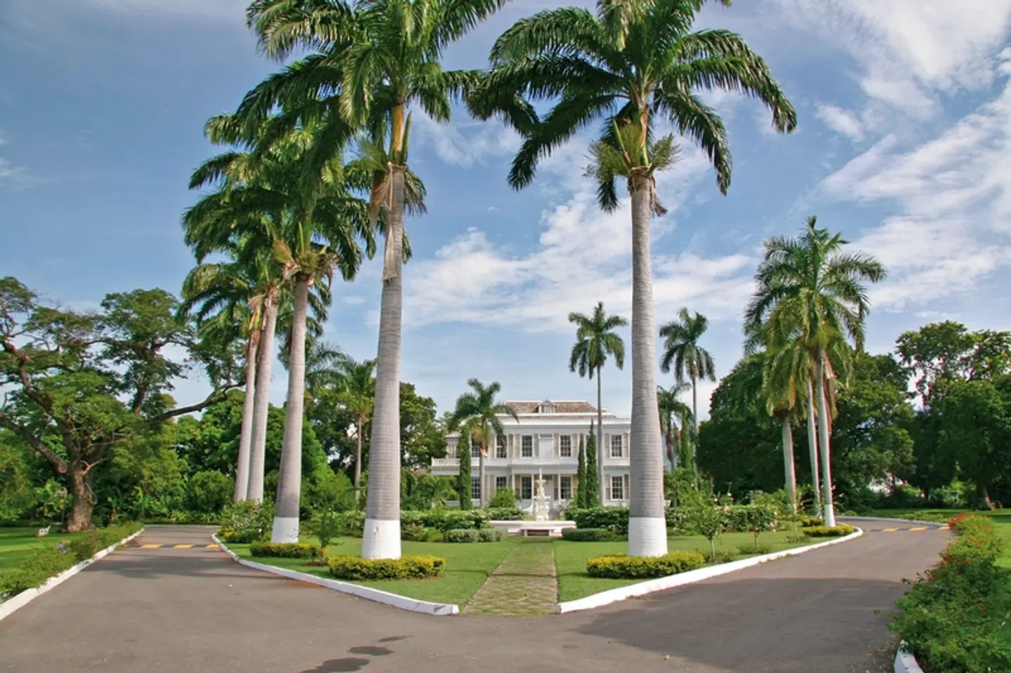 Cool Runnings Garten