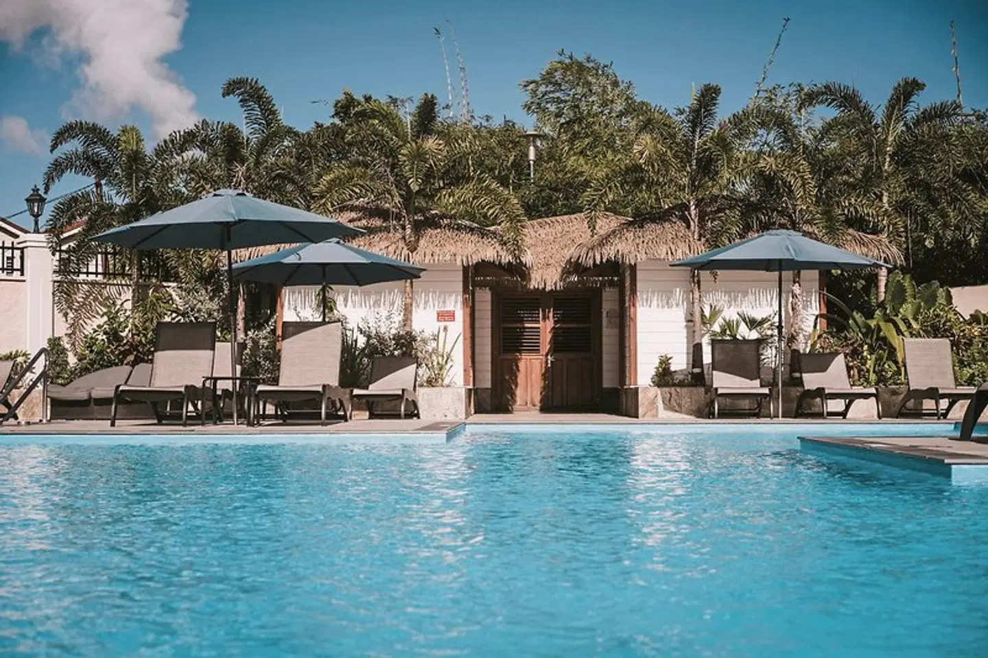 Bambou OUTDOOR_POOL