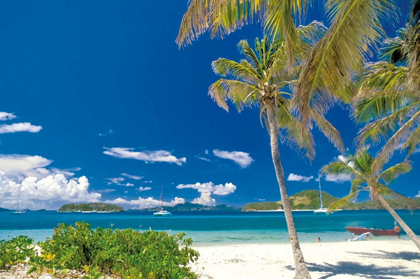 Naturwunder der Karibik Strand