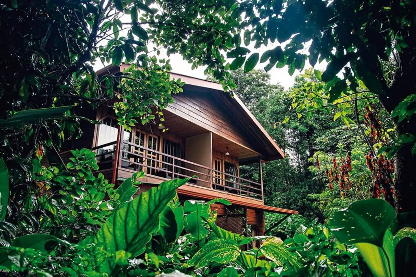 Cala Lodge Garten