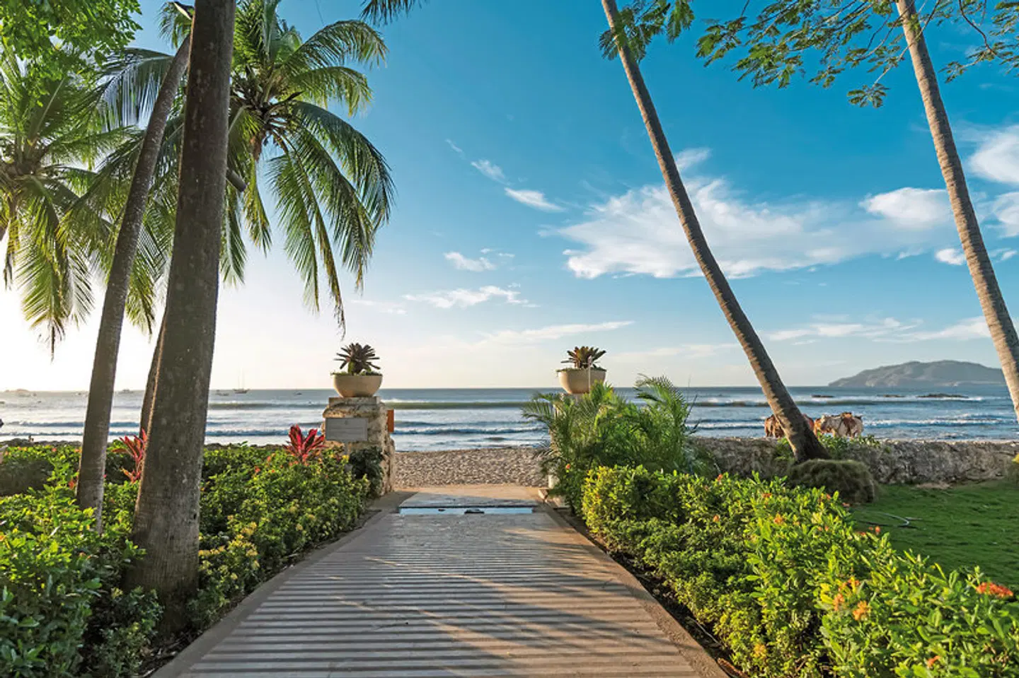 Tamarindo Diriá Beach Resort Garten