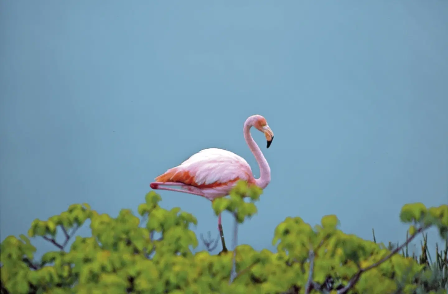 Galápagos Island Hopping SPORTS_AND_LEISURE