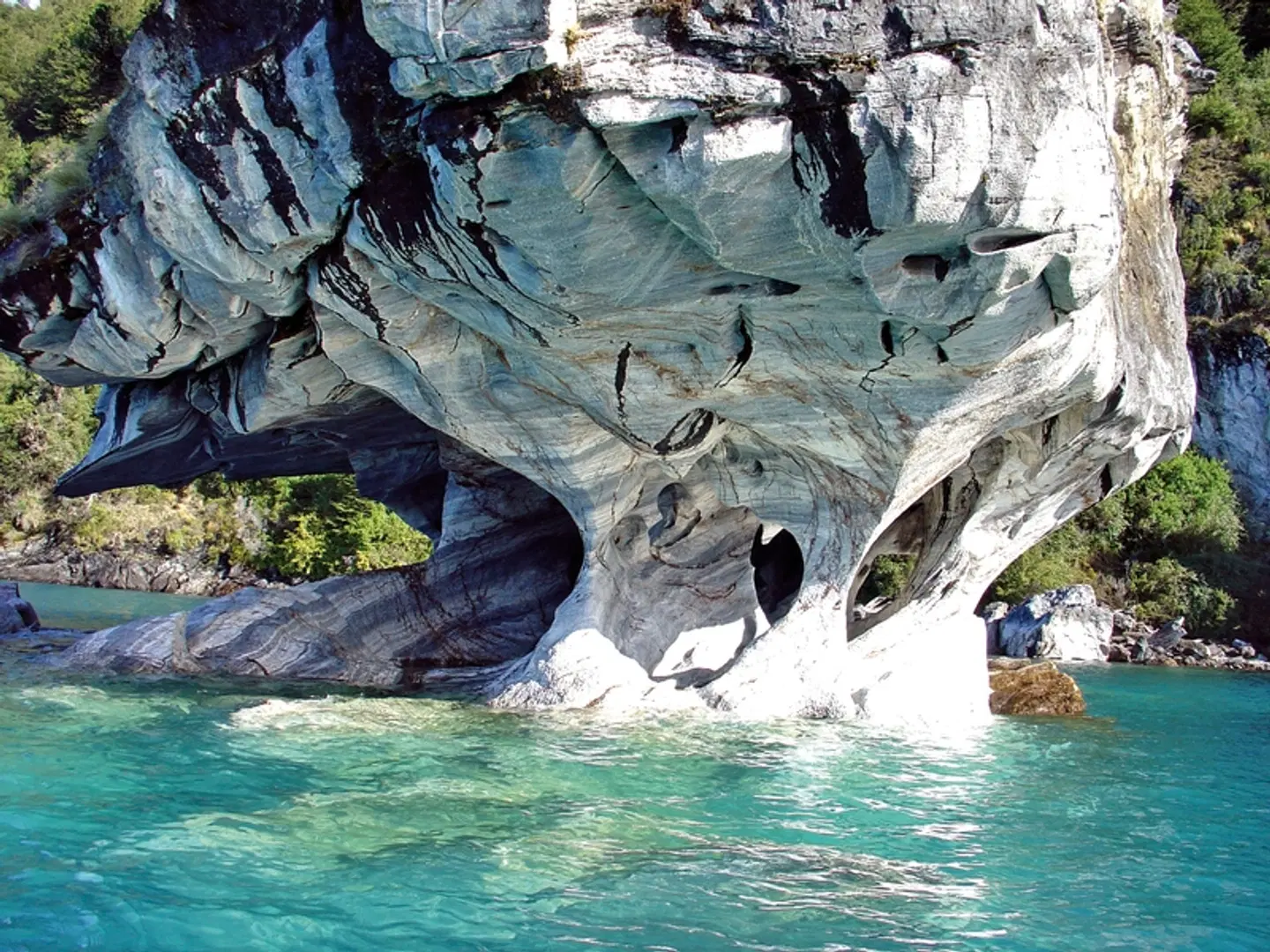 Patagonien Total - on wheels Tiere