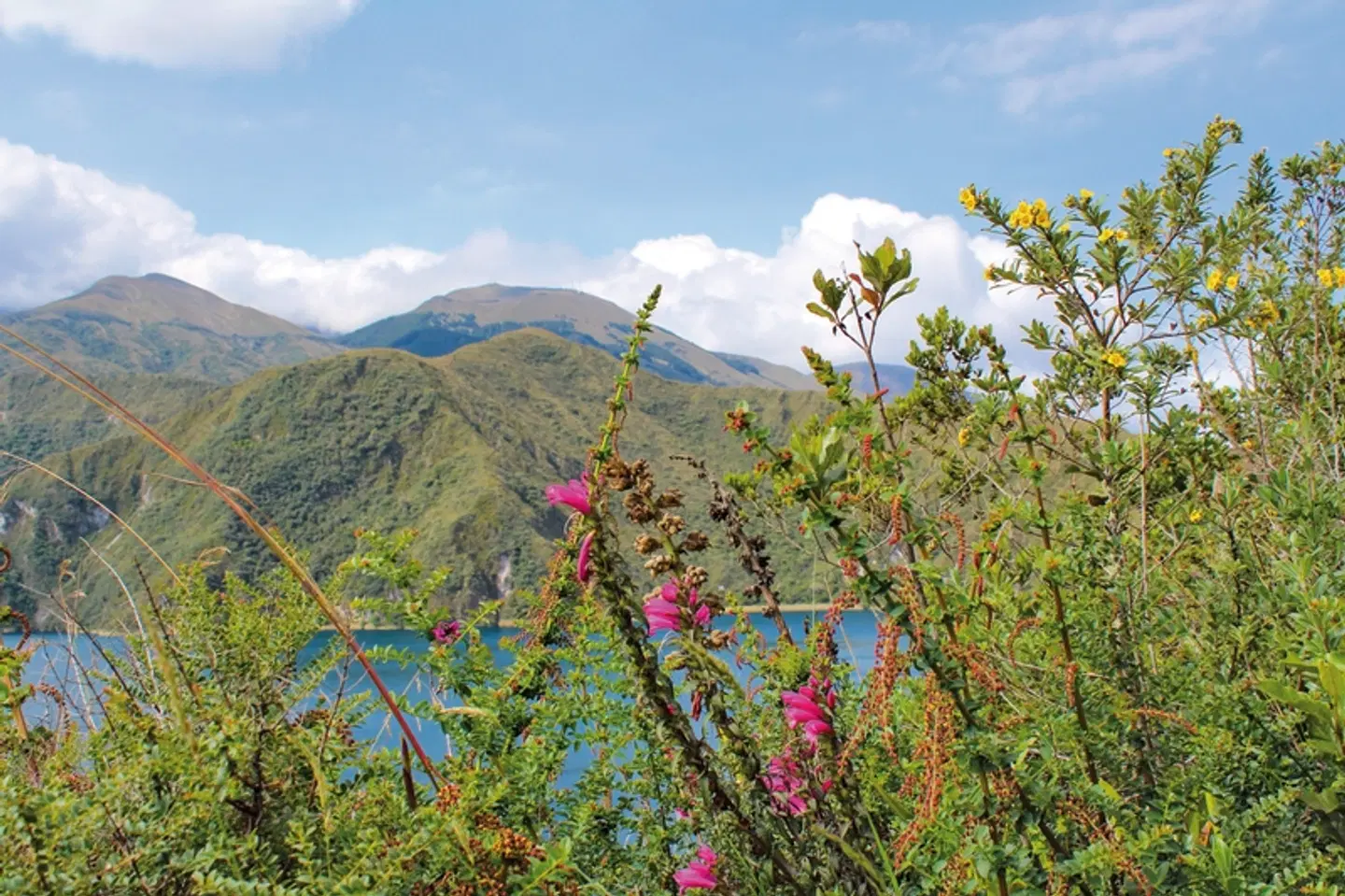Farbenprächtiges Ecuador LANDSCAPE