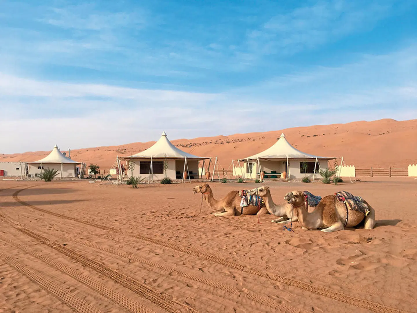 Desert Nights Resort EXTERIOR