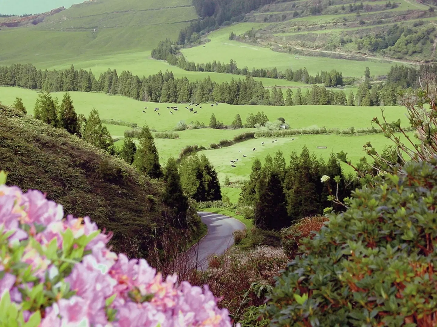 Walbeobachtungen und Inselhüpfen LANDSCAPE