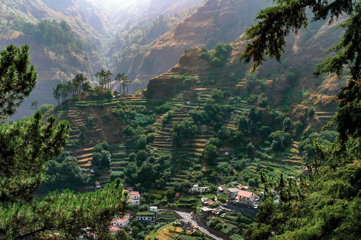 Die besten Seiten von Madeira LANDSCAPE