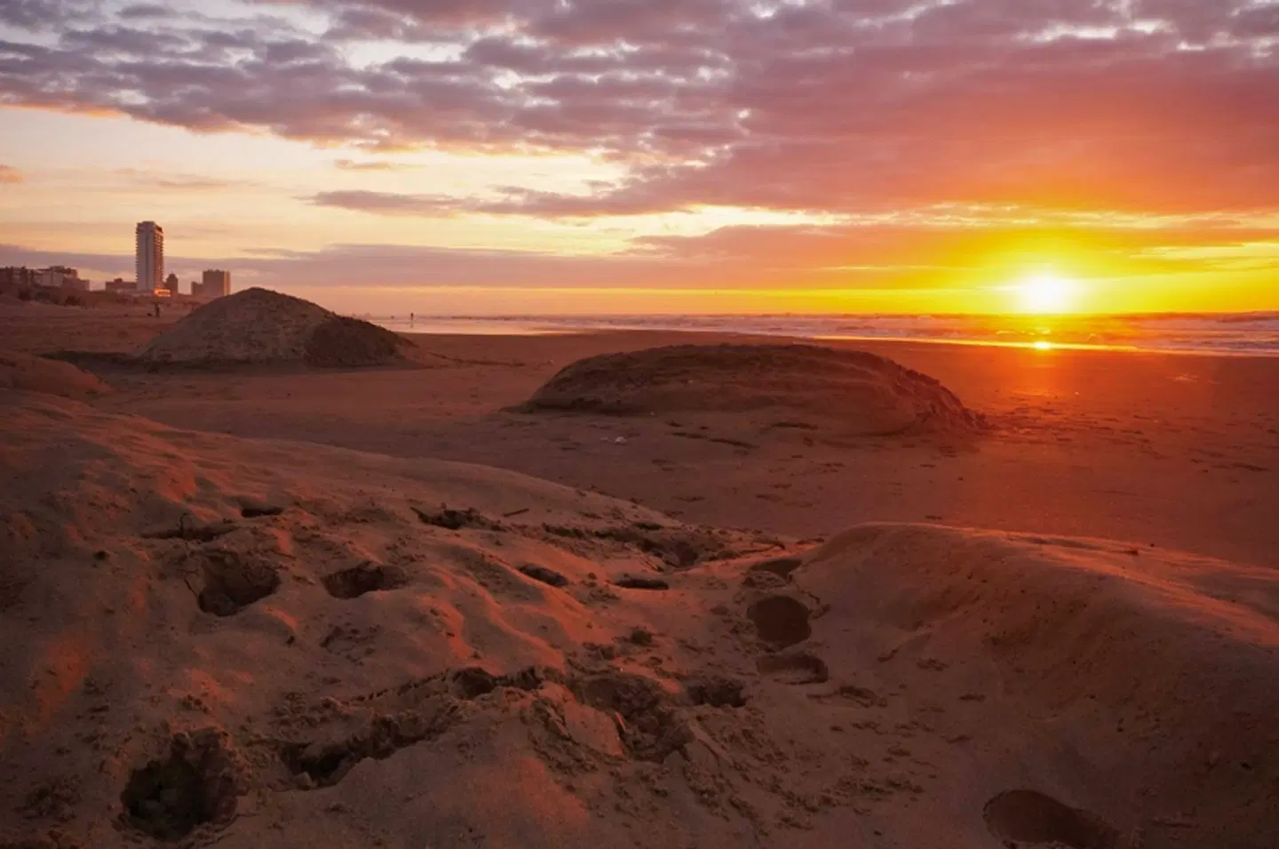 NH Zandvoort LANDSCAPE