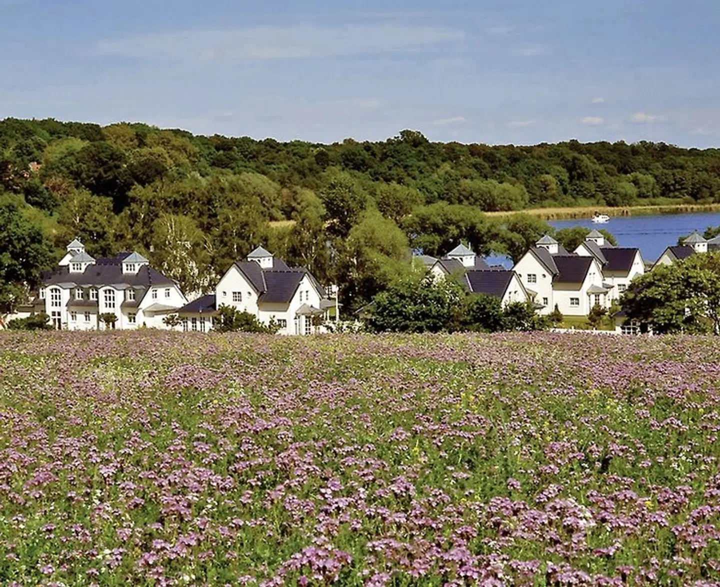 Sunday Resort Schwielowsee Tiere