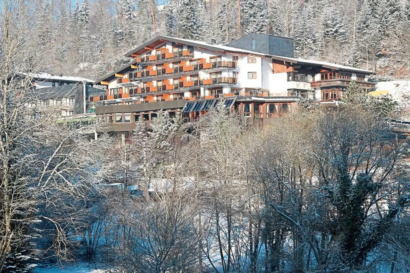 Ringhotel Mönchs Waldhotel Tiere