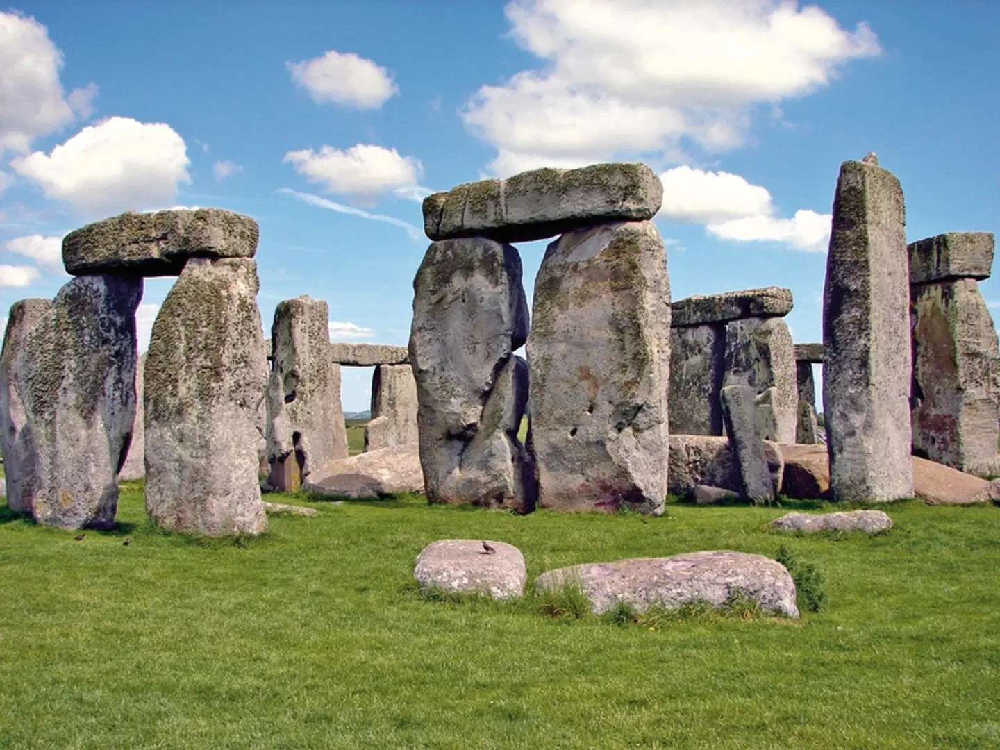 Südengland  genießen Tiere