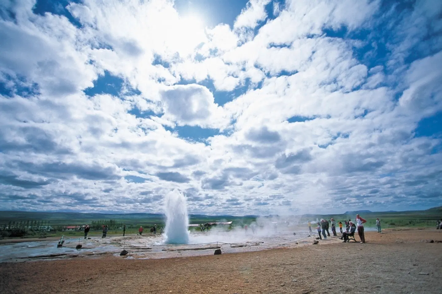 Perlen der Südküste Tiere