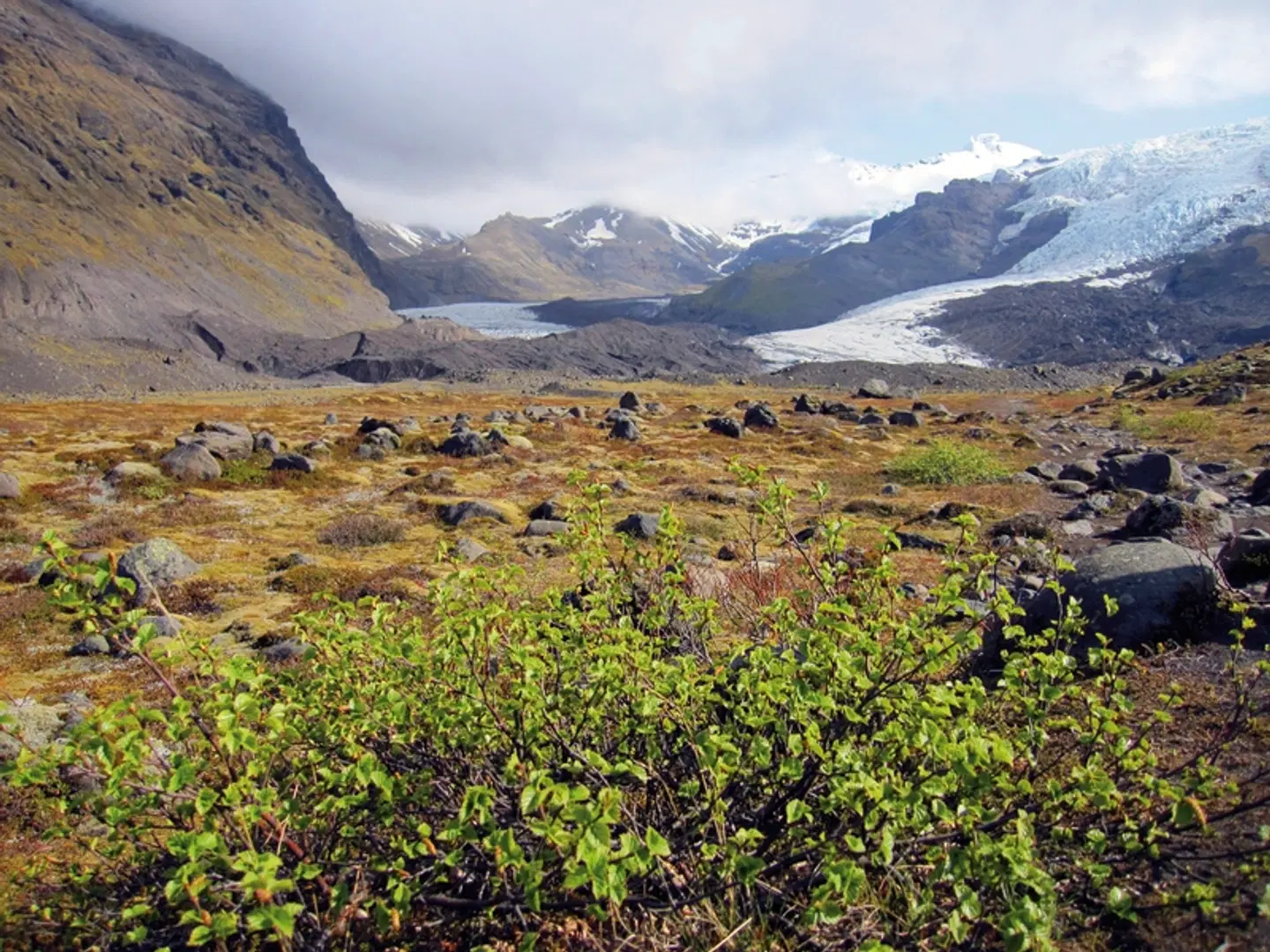 Perlen der Südküste LANDSCAPE