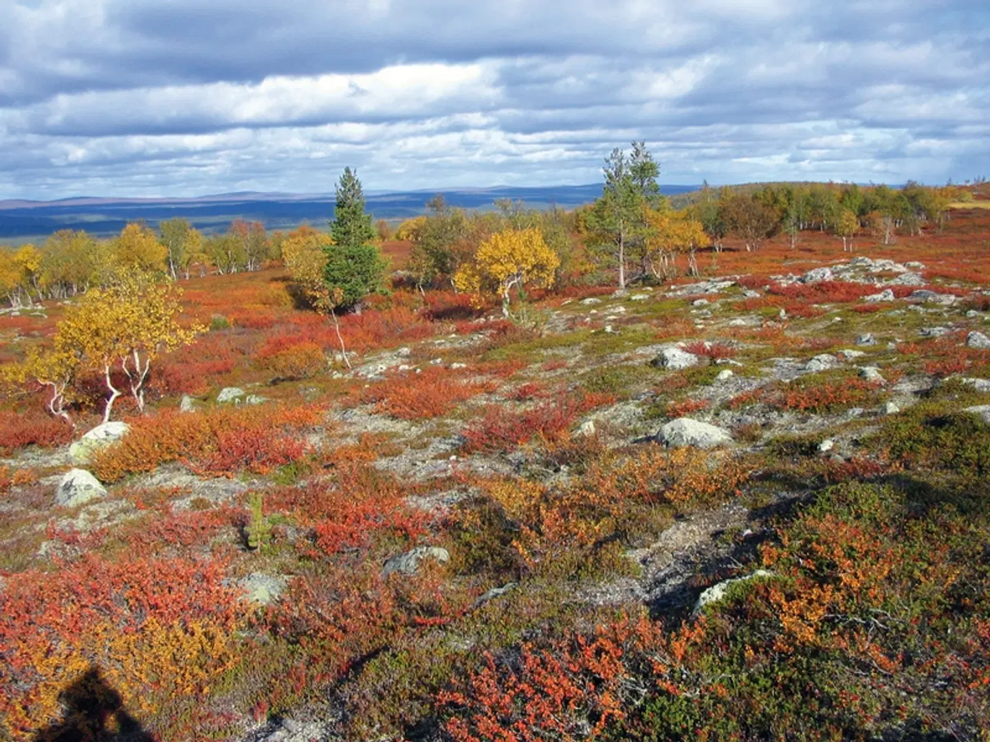 Lappland entspannt erleben LANDSCAPE