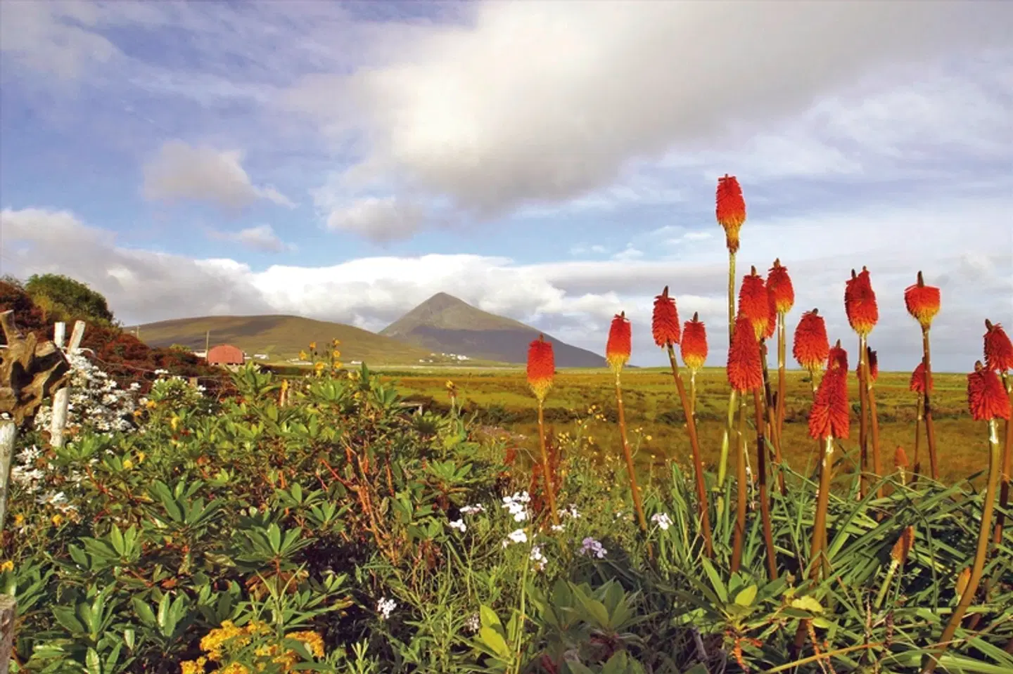 Herrschaftliches Irland LANDSCAPE