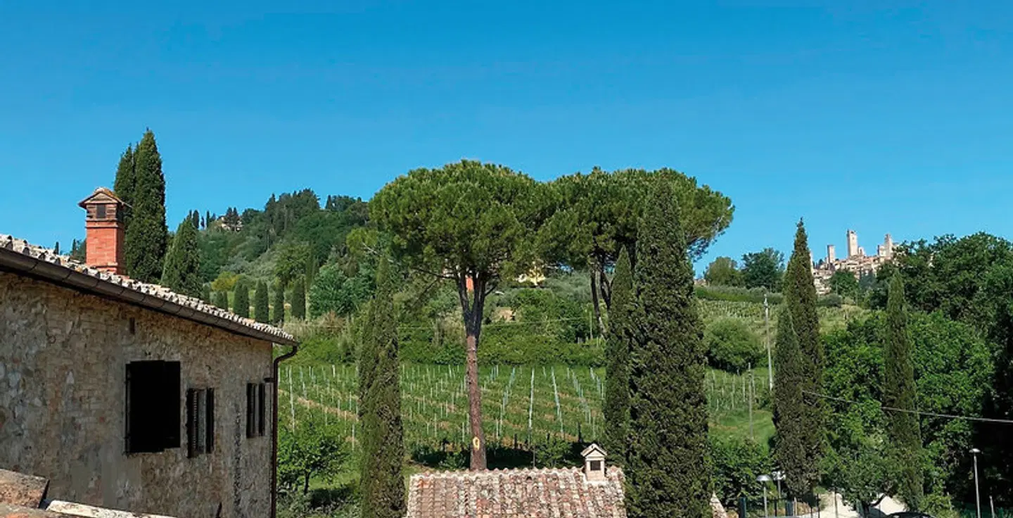 Tenuta Sovestro LANDSCAPE