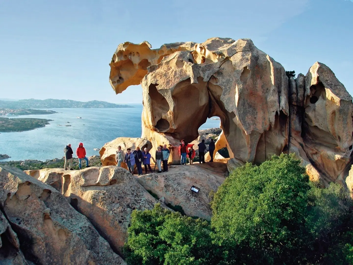 Faszinierendes Sardinien Tiere