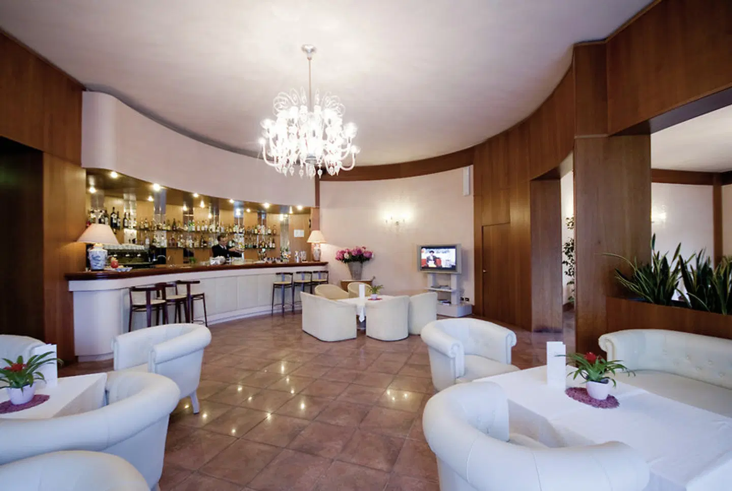 Aurelia Bar