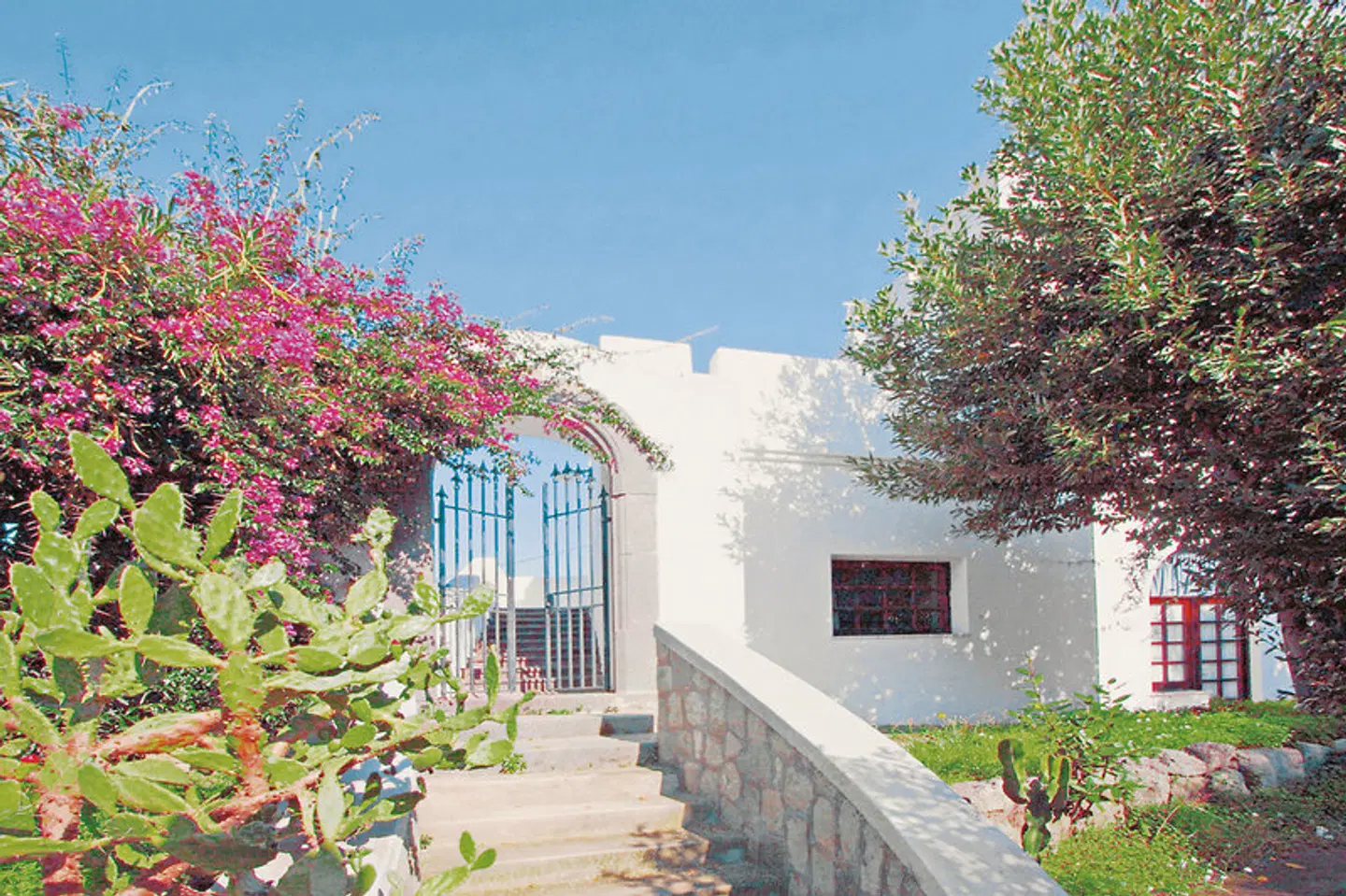 Park Hotel Terme Mediterraneo Garten