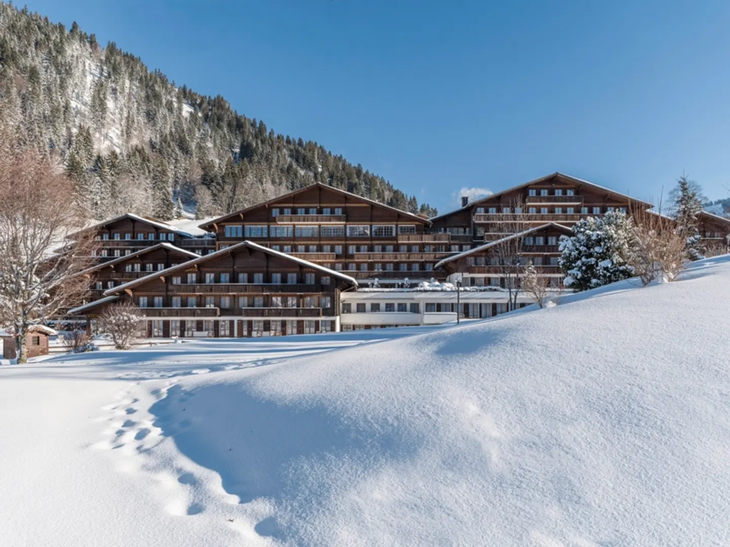 HUUS Gstaad Hotel OUTDOOR_POOL