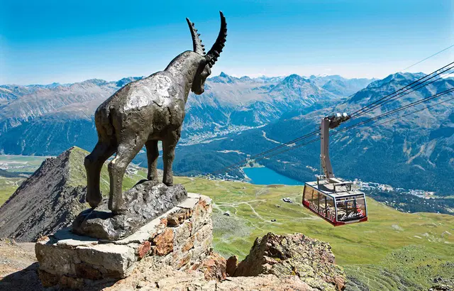 Höhepunkte der Schweiz - Grand Train Tour of Switzerland ab St. Moritz Tiere