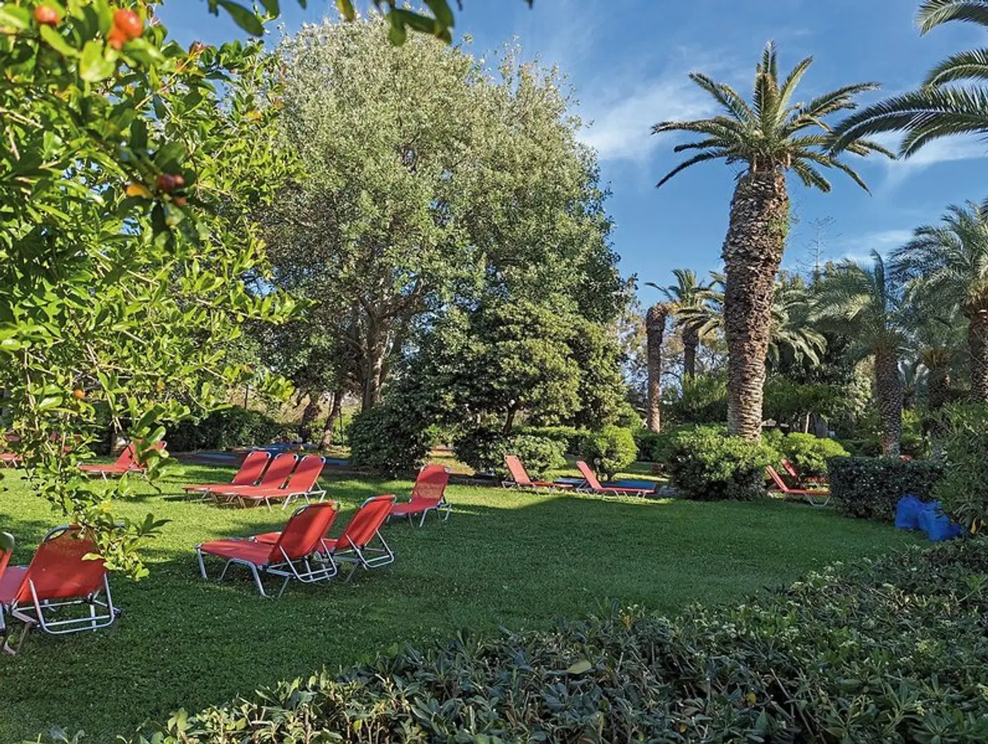 Apollonia Beach Resort & Spa Garten