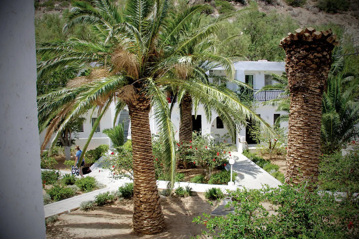 Avra Palm Garten