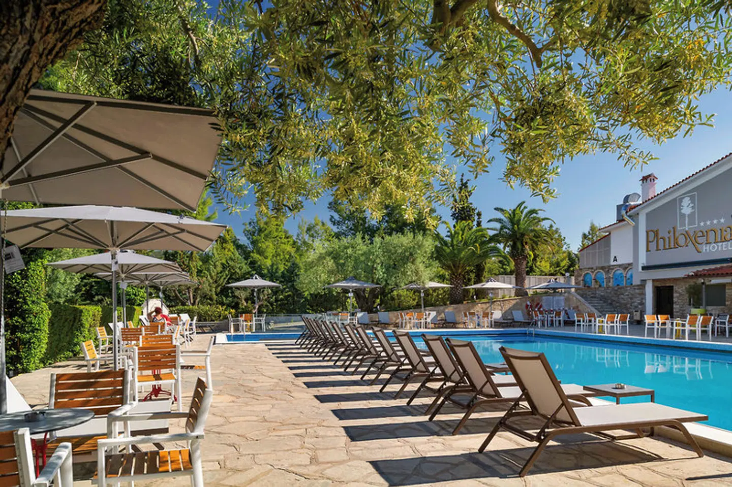 Philoxenia OUTDOOR_POOL