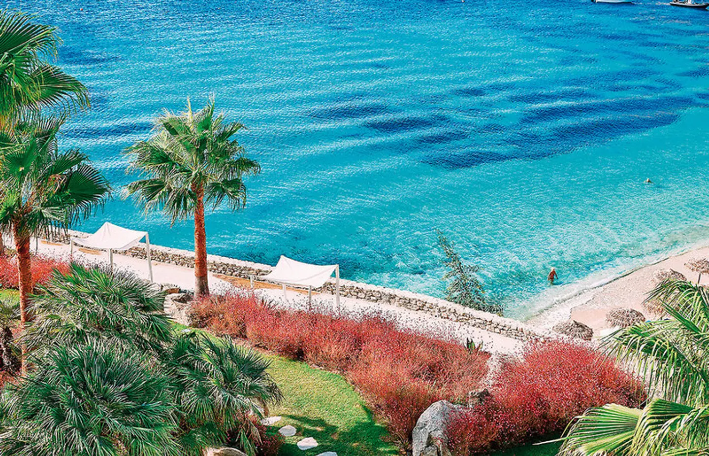 Mykonos Blu a Grecotel Resort to Live Tiere
