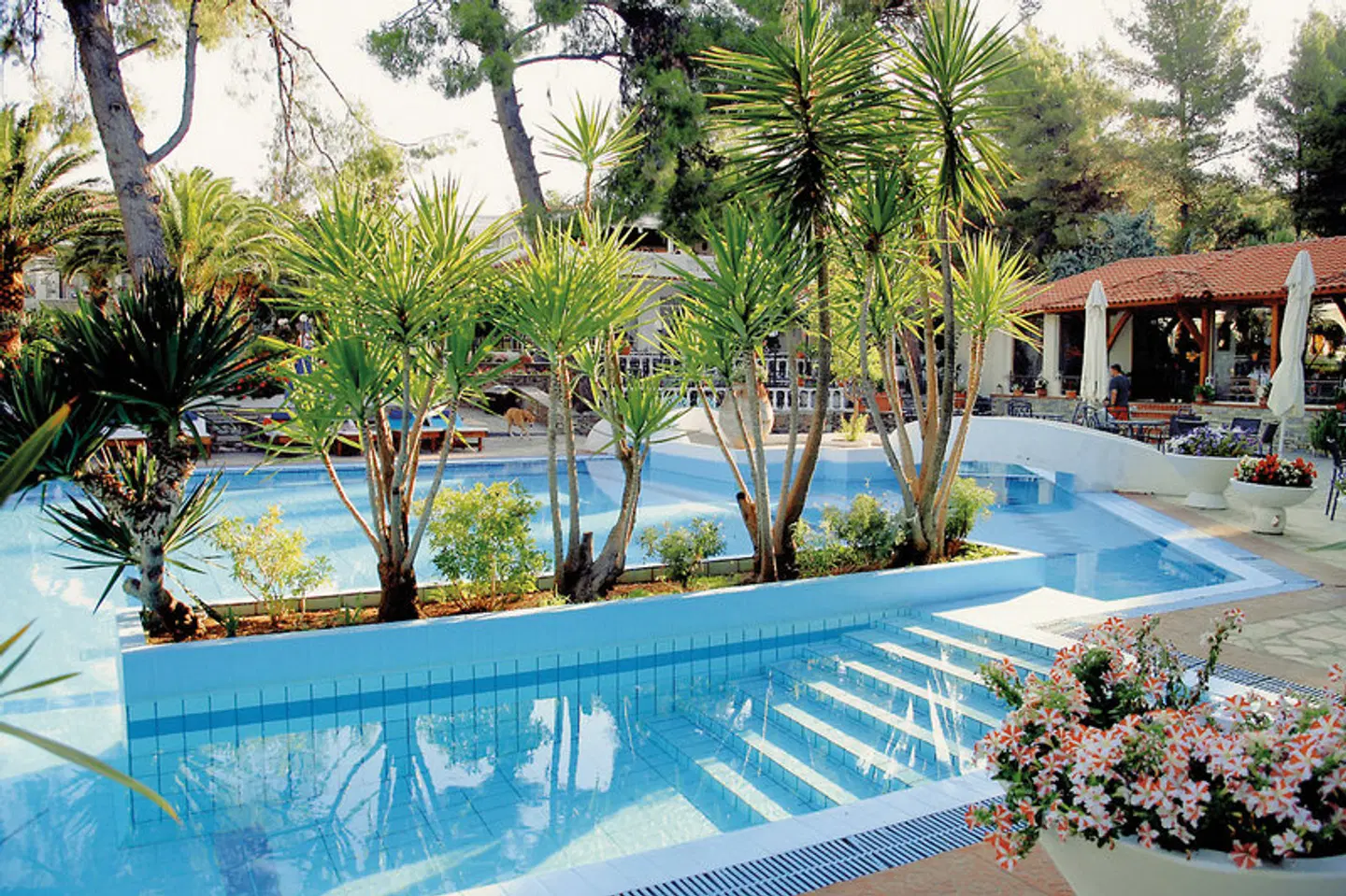 Porfi Beach OUTDOOR_POOL