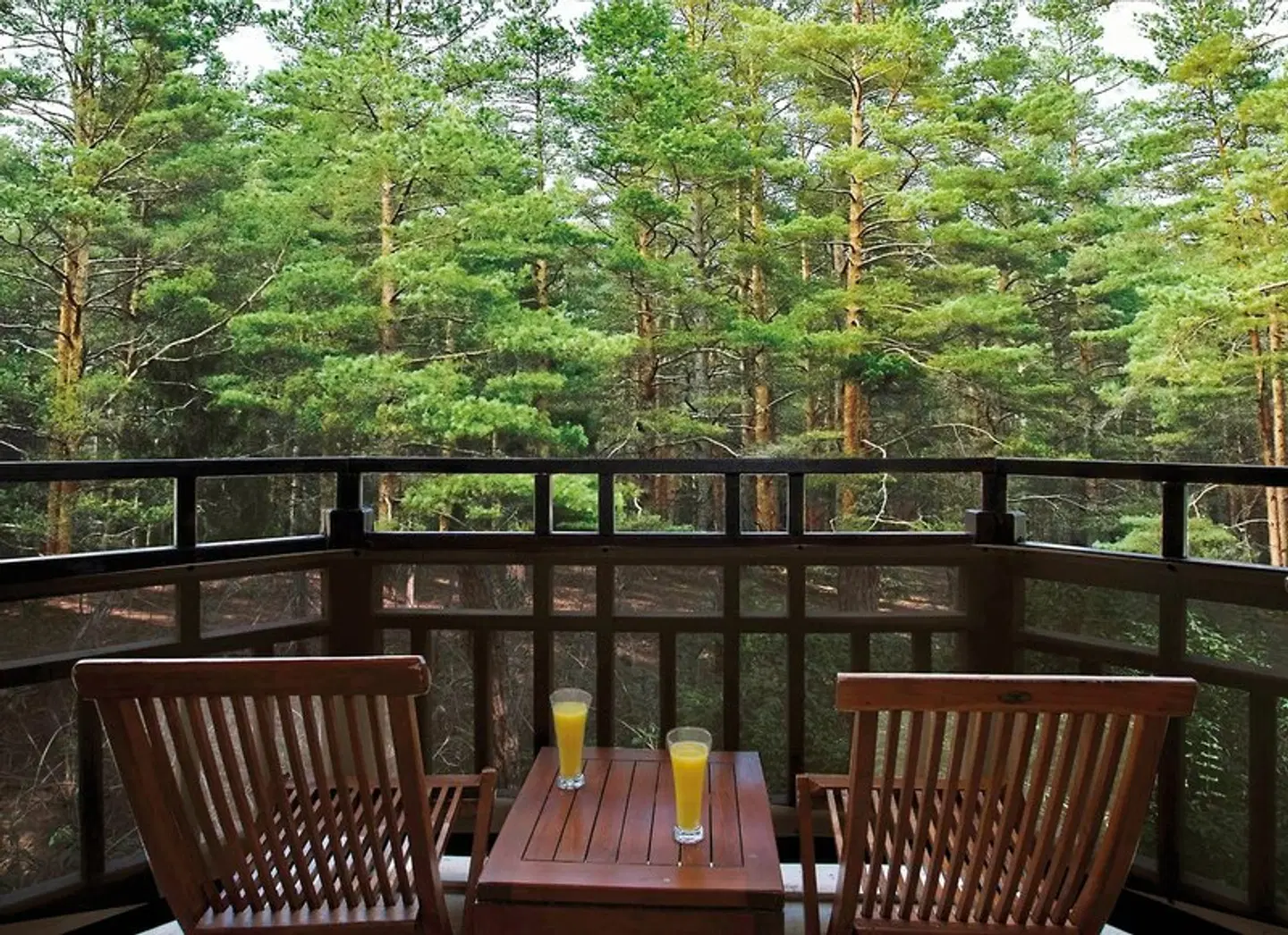 Asteria Family Resort Belek Terrasse