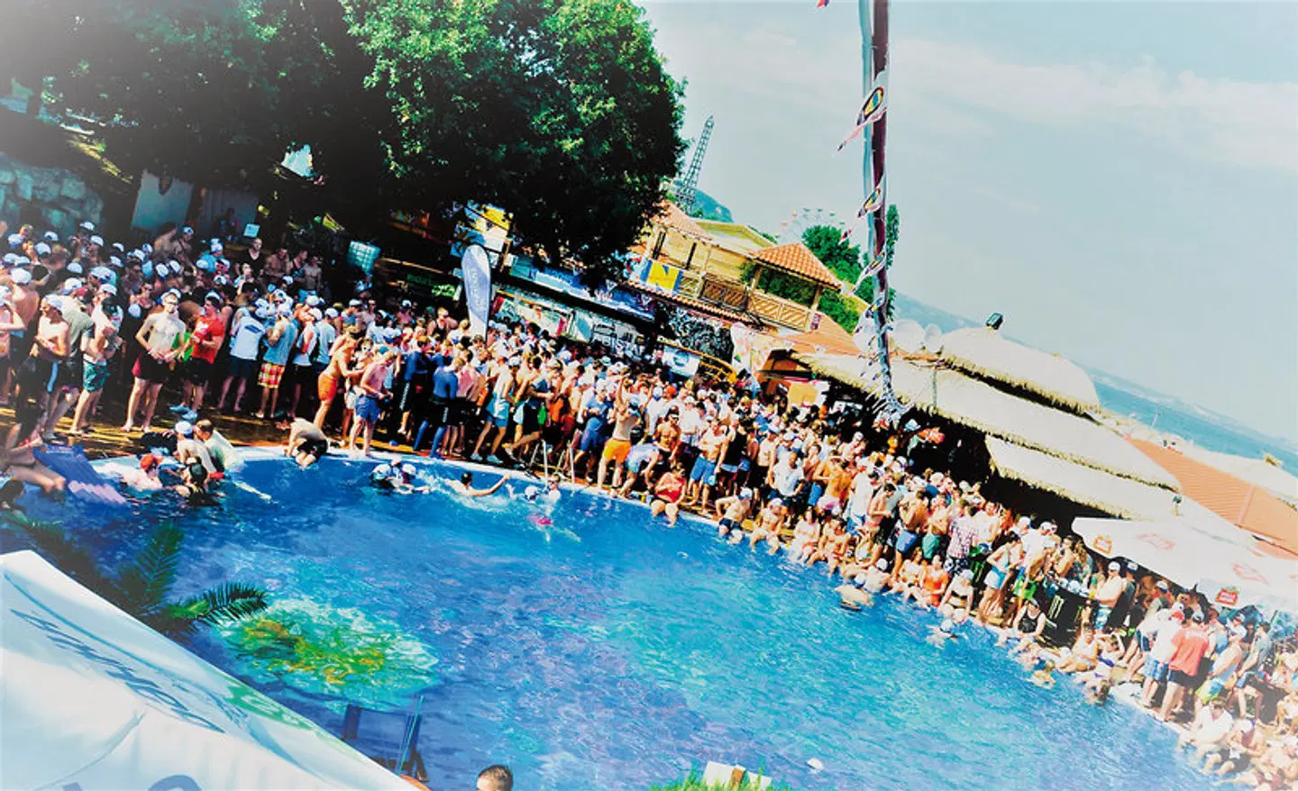 Gladiola OUTDOOR_POOL