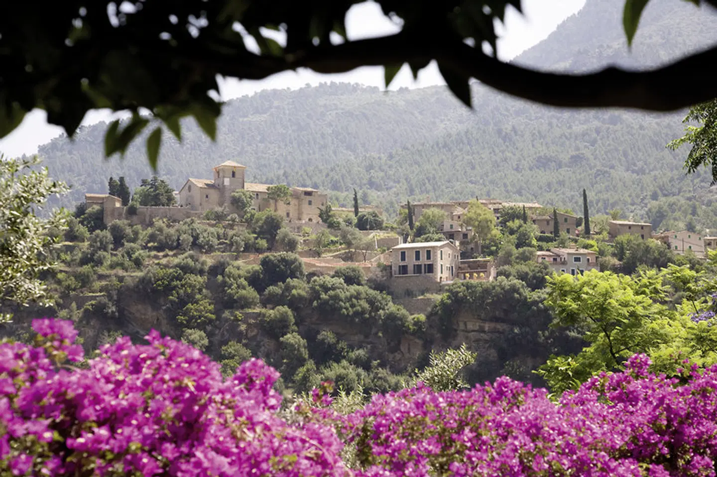 Es Moli LANDSCAPE
