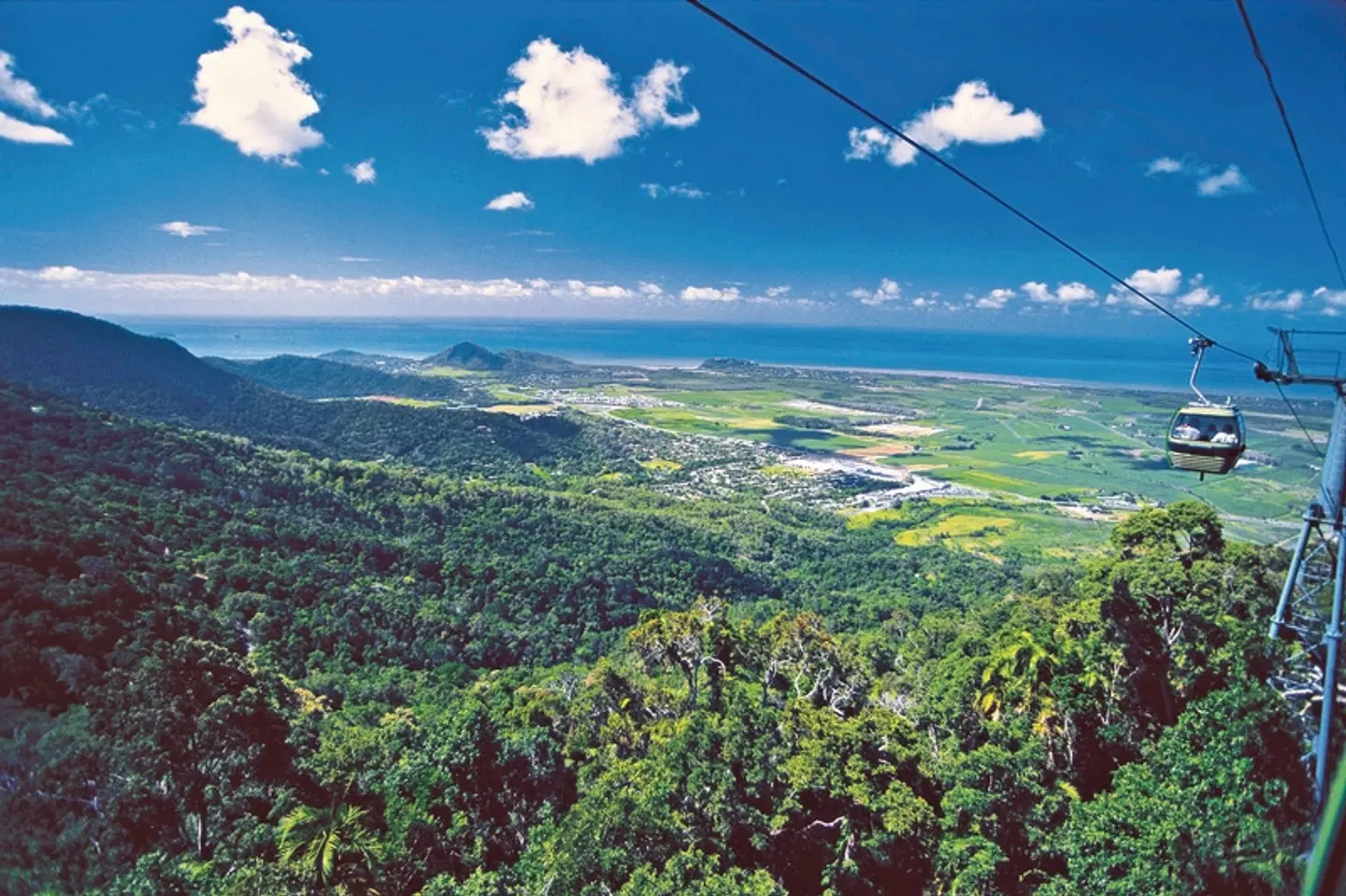 Känguru-Hüpfer LANDSCAPE