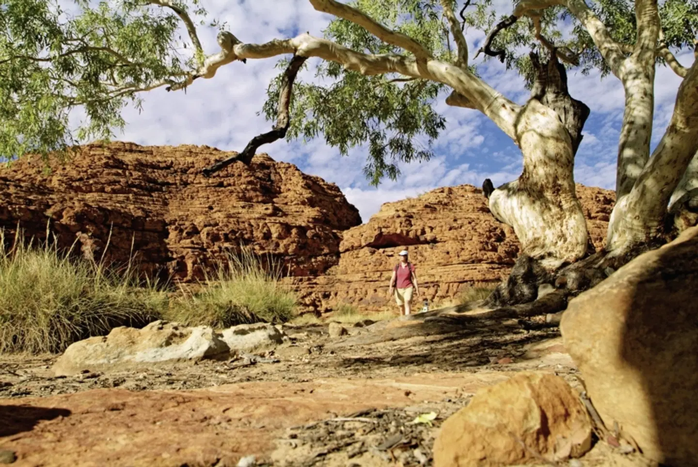 Australiens Glanzpunkte kompakt LANDSCAPE