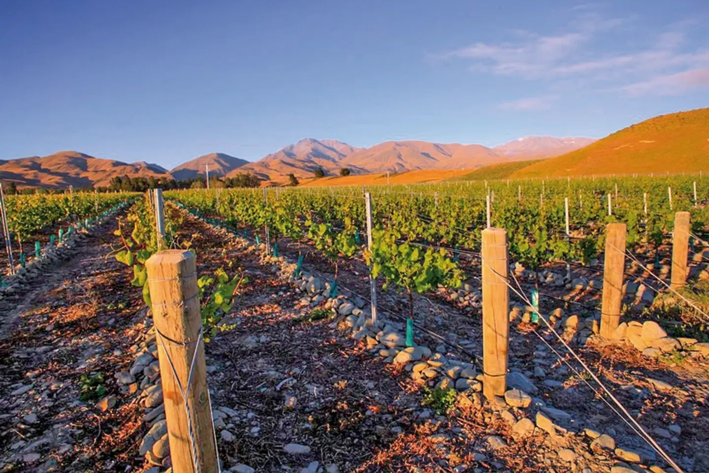 Geländewagen Abenteuer Garten