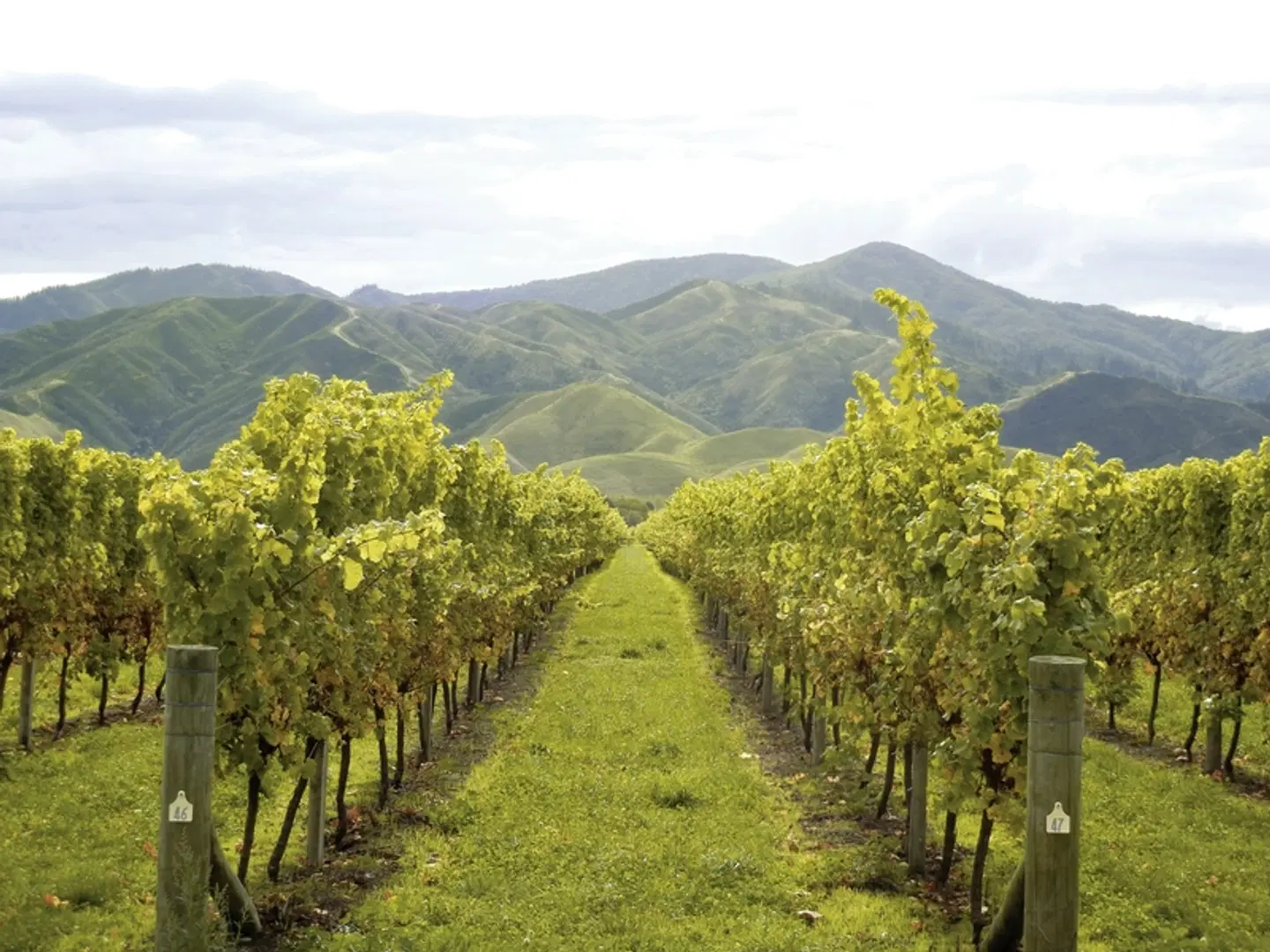 Zwischen Fjorden, Vulkanen & Küsten - Neuseeland entdecken LANDSCAPE