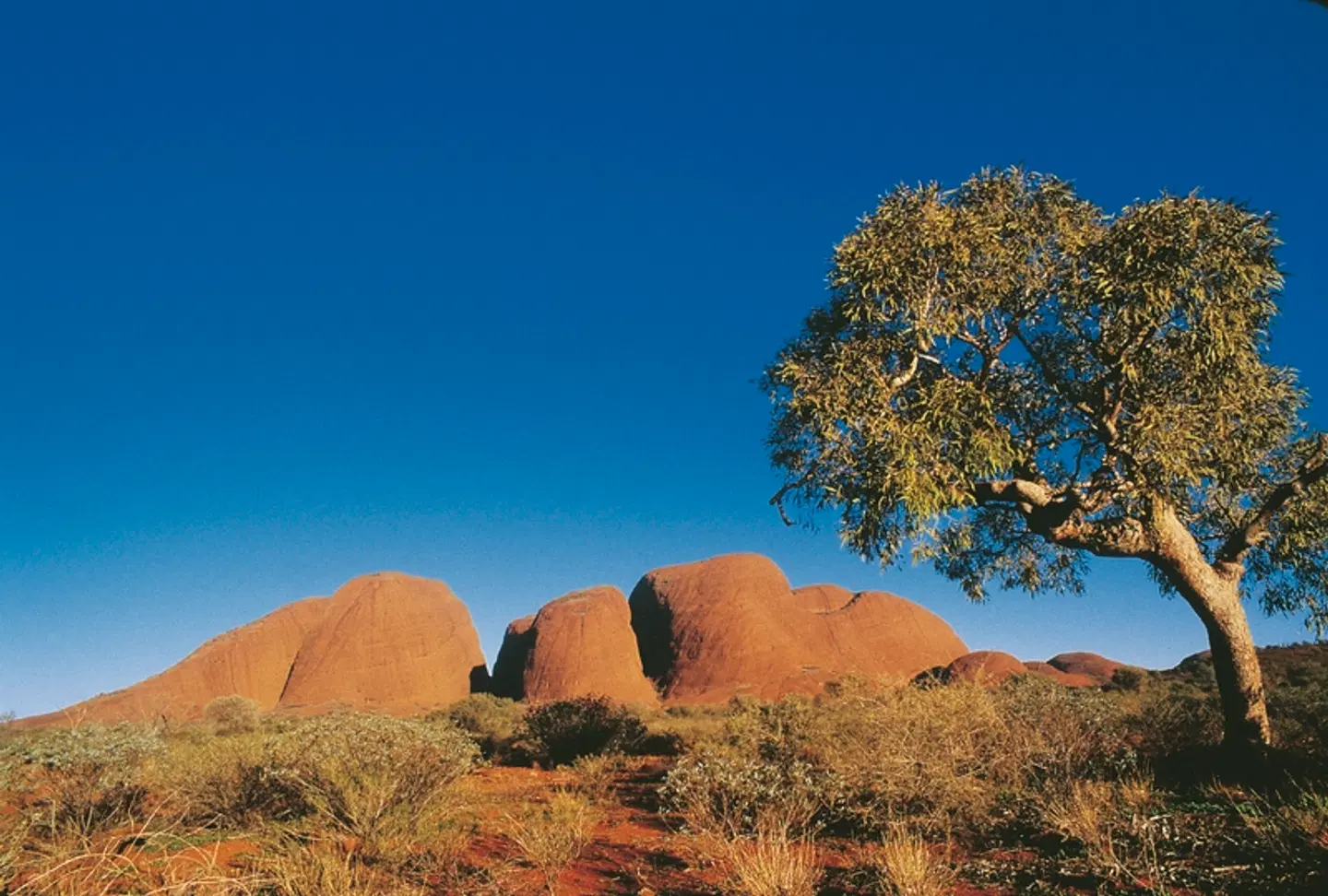Rotes Zentrum erleben EXTERIOR