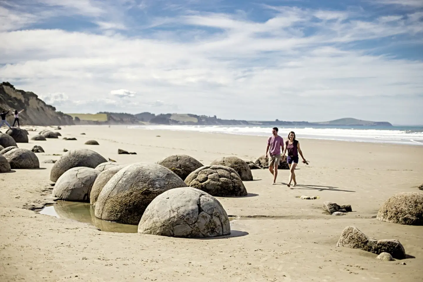 Natur pur - traumhaftes Neuseeland Tiere