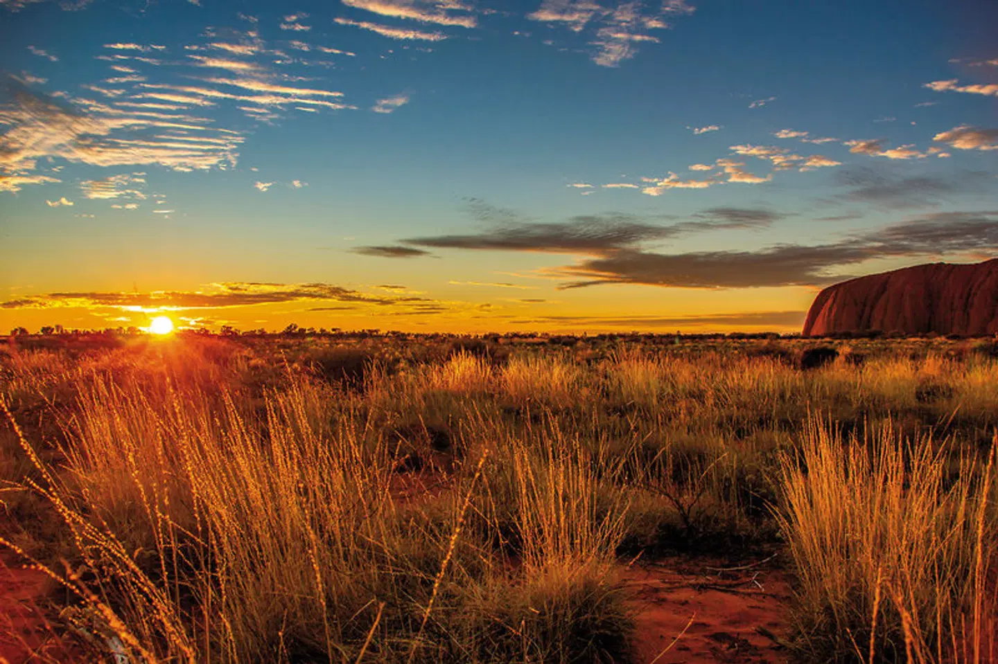 Camping Abenteuer im Roten Zentrum (ab Yulara) LANDSCAPE