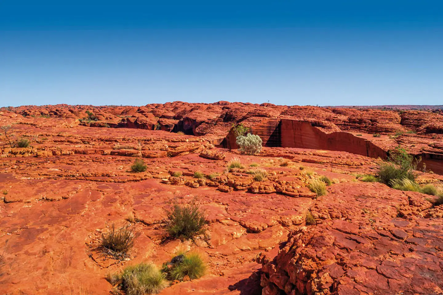 Camping Abenteuer im Roten Zentrum (ab Yulara) LANDSCAPE
