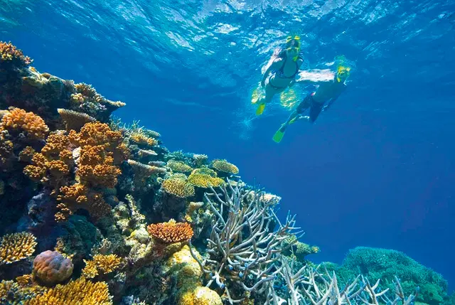 Faszination Ostküste Tiere