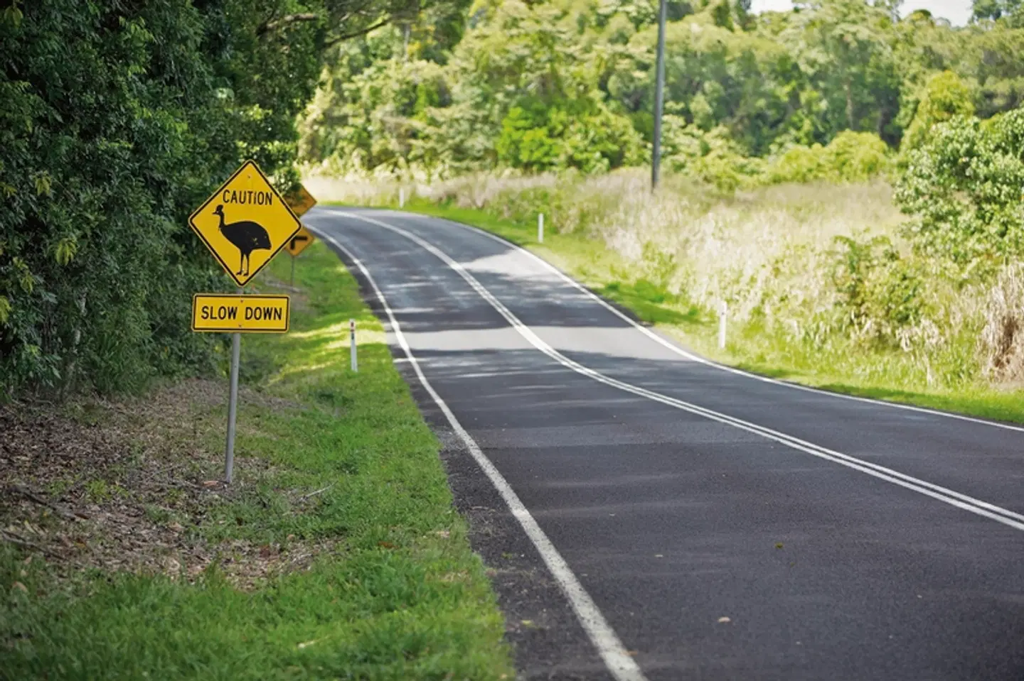 Ostküste auf eigene Faust LANDSCAPE