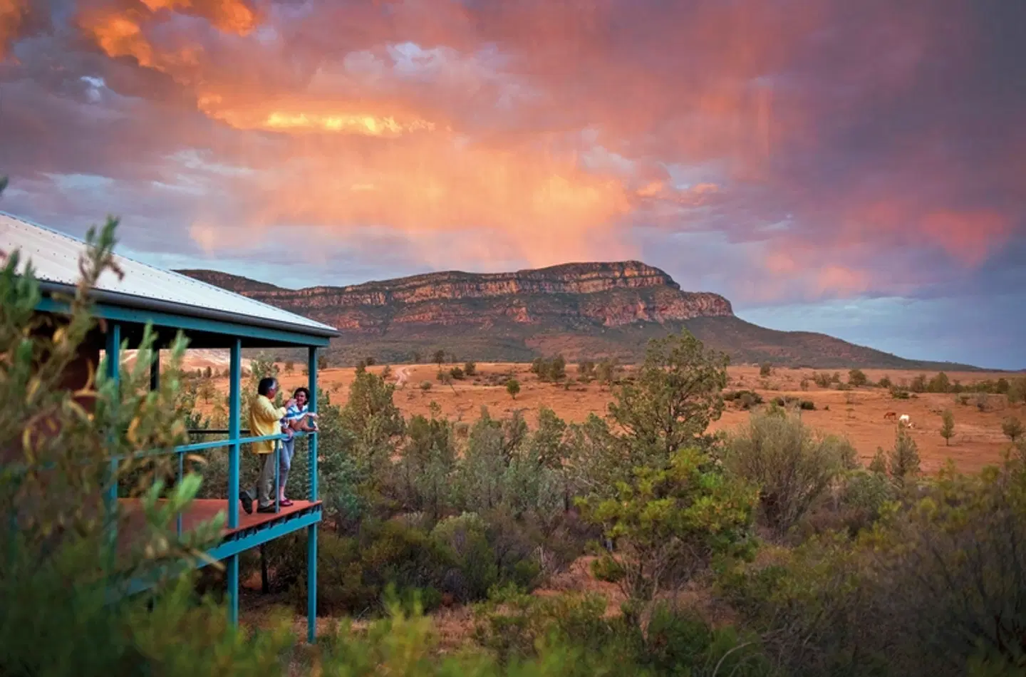 Rawnsley Park Station LANDSCAPE